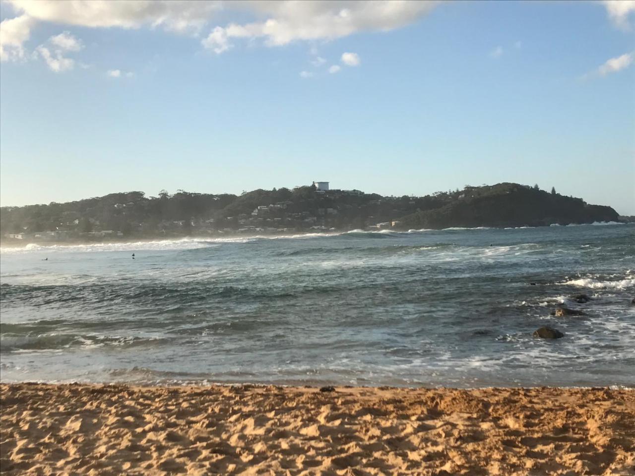 The Beach Hut Avoca Beach Nsw Villa Eksteriør bilde