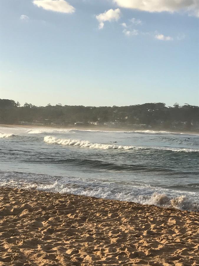 The Beach Hut Avoca Beach Nsw Villa Eksteriør bilde